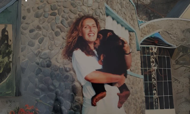 A minha Experiência no Terceiro Setor