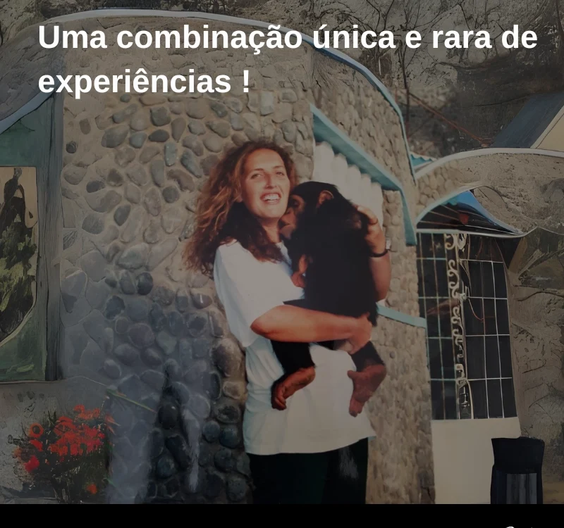 A minha Experiência no Terceiro Setor