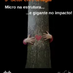 Diagnóstico das ONG em Portugal