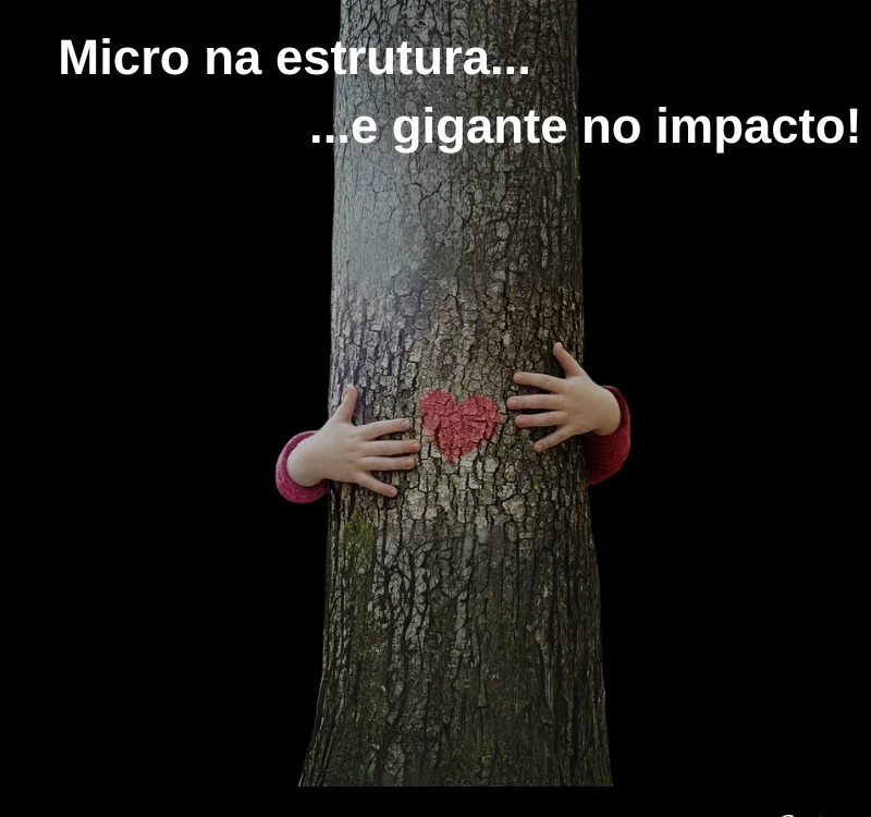 Diagnóstico das ONG em Portugal